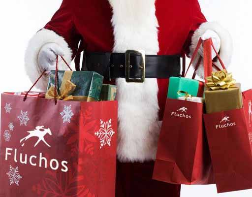 Tienda Fluchos